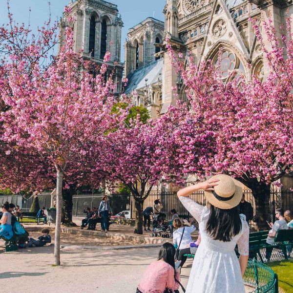paris-11