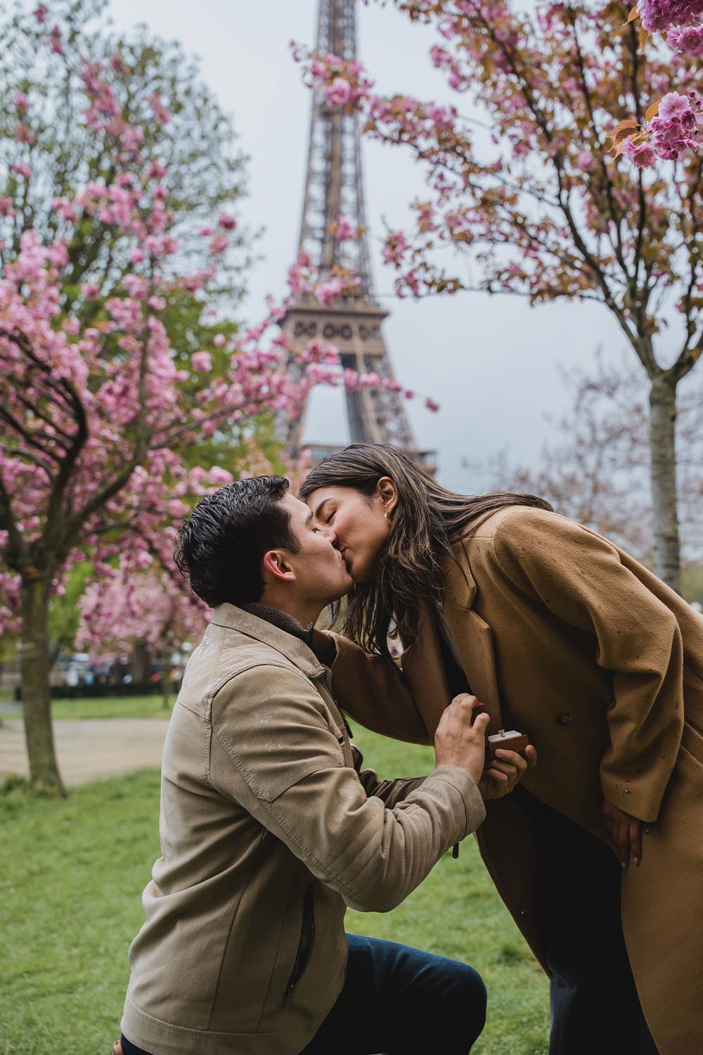 Hombre de rodillas proponiendo matrimonio mientras se besan bajo cerezos en flor, Torre Eiffel de fondo, primavera en París / Man kneeling proposing marriage while they kiss beneath blossoming cherry trees, Eiffel Tower behind, springtime in Paris